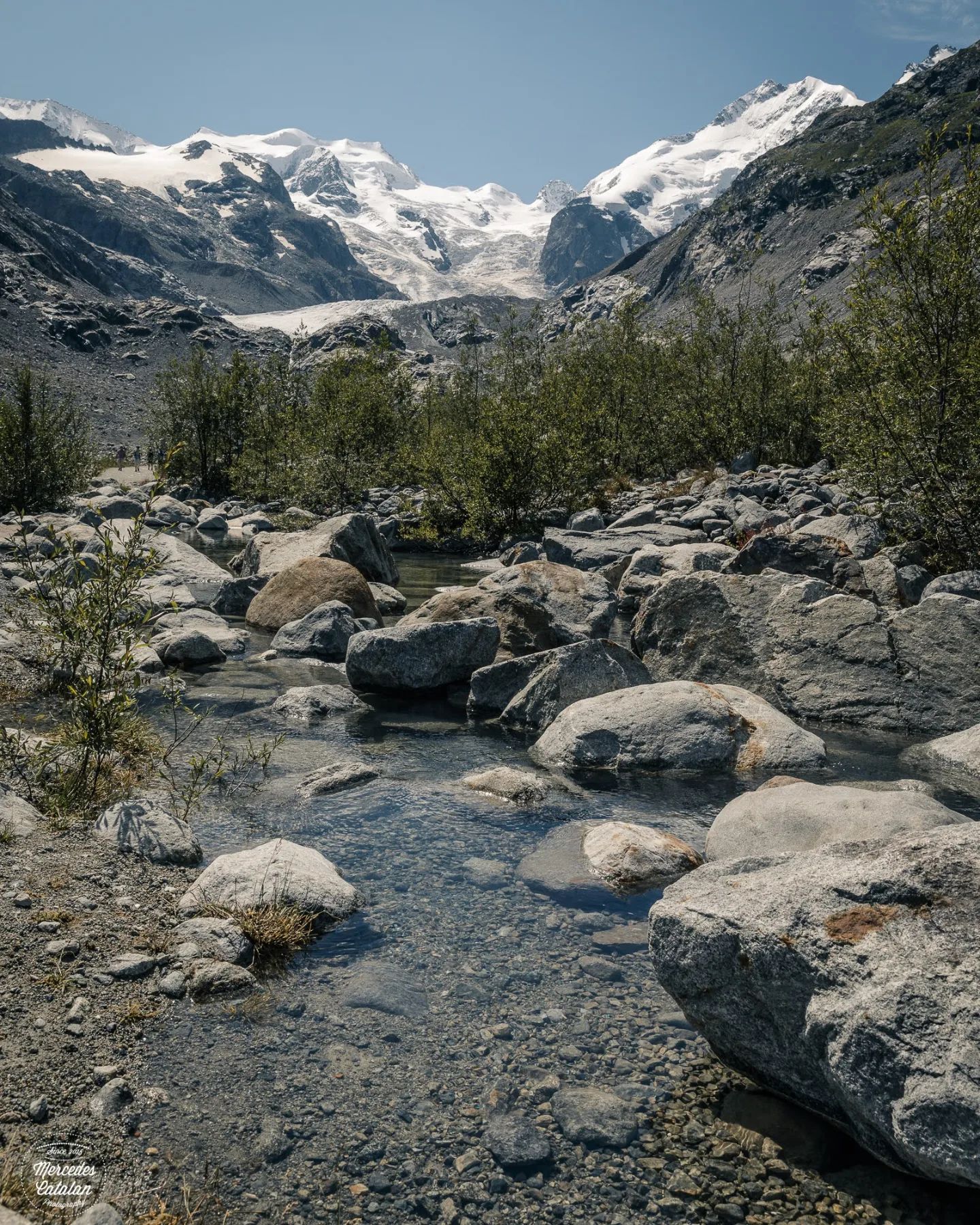 I think it's time to start planning a summer trip.... 😊
•
•
•
Canon EOS 5d Mark IV + 24-70mm
28mm f/11 1/640sec. ISO160
•
•
#morteratsch #pontresina #engadin #graubünden #switzerland #exploretocreate #roamtheplanet #moodygrams #exploremore #passionpasport #myswitzerland #lifefolk #feelthealps #beautifuldestinations #anotherescape #sidetrackedmag #rsa_outdoors #lifeofadventure #fotonline_es #rsa_main #thewanderco #swissmountaingirls #swissspots #canonespaña #flyswiss #ifolormoments #inlovewithswitzerland #lifeforthestory #canoninspiration @visualsoflife @roamtheplanet @ourplanetdaily @stayandwander @livefolk @earthpix @earth @helvetic.collective @thewander.co @spotmagazinech
