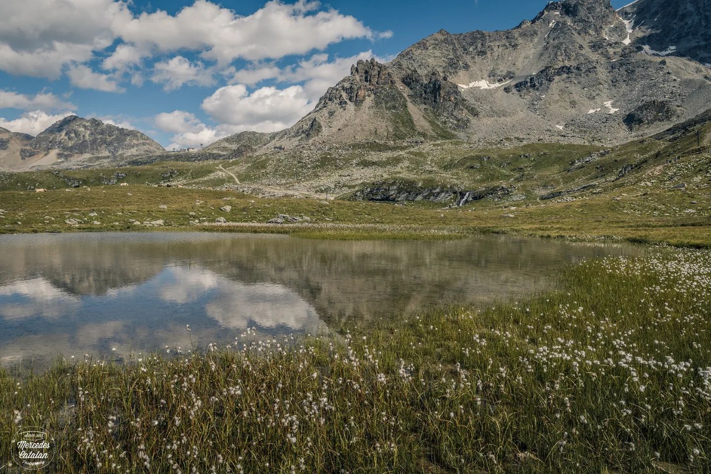 The beauty of alpine lakes
•
•
•
Canon EOS 5d Mark IV + 24-70mm
24mm f/11 1/640sec. ISO250
•
•
#engadin #graubünden #switzerland #exploretocreate #roamtheplanet #moodygrams #exploremore #passionpasport #myswitzerland #lifefolk #feelthealps #beautifuldestinations #anotherescape #sidetrackedmag #rsa_outdoors #lifeofadventure #fotonline_es #rsa_main #thewanderco #swissmountaingirls #swissspots #canonespaña #flyswiss #ifolormoments #inlovewithswitzerland #lifeforthestory #canoninspiration @visualsoflife @roamtheplanet @ourplanetdaily @stayandwander @livefolk @earthpix @earth @helvetic.collective @thewander.co @spotmagazinech