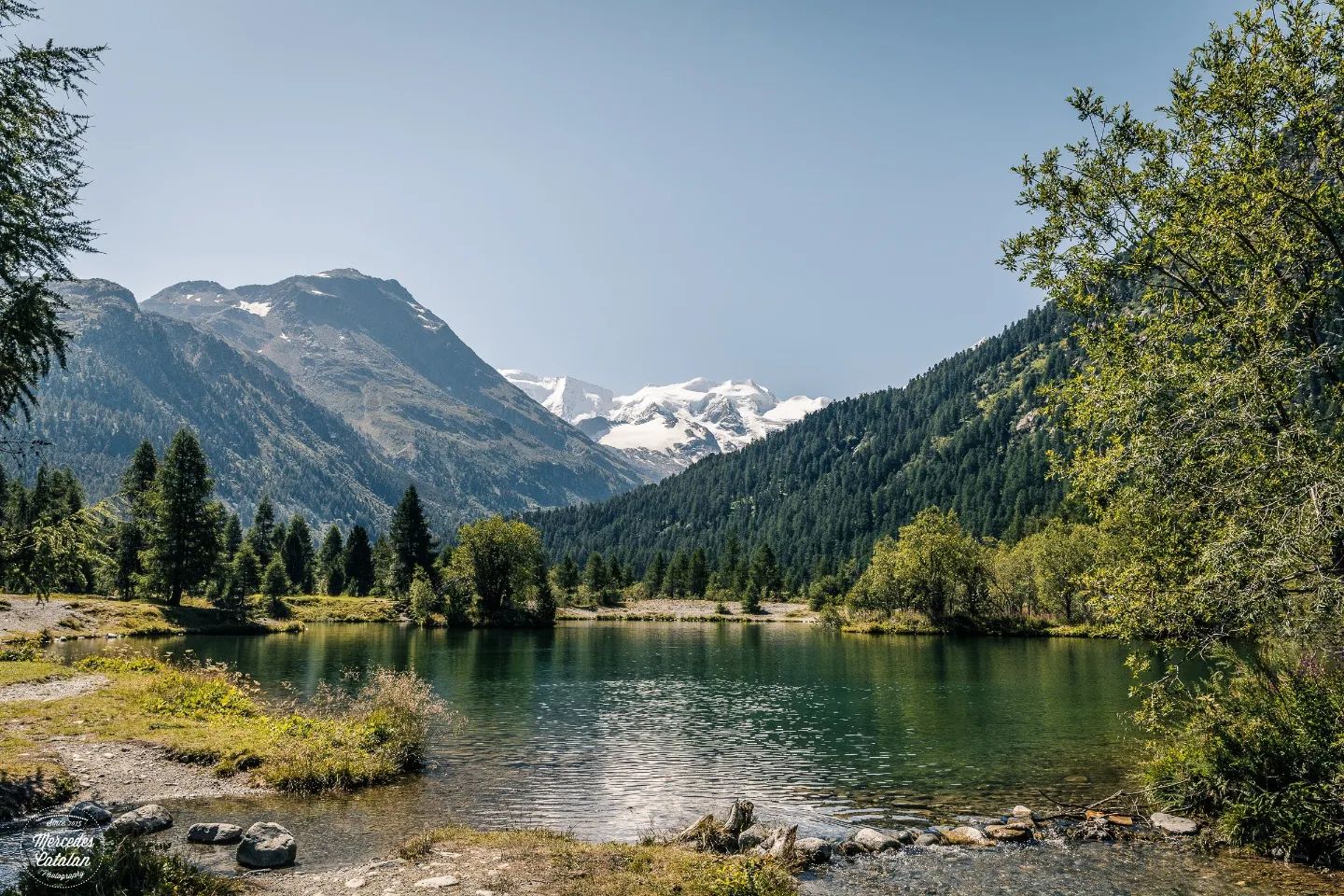 Looks like summer is almost here in Switzerland, with blue skies and warm weather... and it makes me dream about beautiful days roaming in the Alps
•
•
•
Canon EOS 5d Mark IV + 24-70mm
28mm f/11 1/800sec. ISO100
•
•
#morteratsch #pontresina #engadin #graubünden #switzerland #exploretocreate #roamtheplanet #moodygrams #exploremore #passionpasport #myswitzerland #lifefolk #feelthealps #beautifuldestinations #anotherescape #sidetrackedmag #rsa_outdoors #lifeofadventure #fotonline_es #rsa_main #thewanderco #swissmountaingirls #swissspots #canonespaña #flyswiss #ifolormoments #inlovewithswitzerland #lifeforthestory #canoninspiration @visualsoflife @roamtheplanet @ourplanetdaily @stayandwander @livefolk @earthpix @earth @helvetic.collective @thewander.co @spotmagazinech