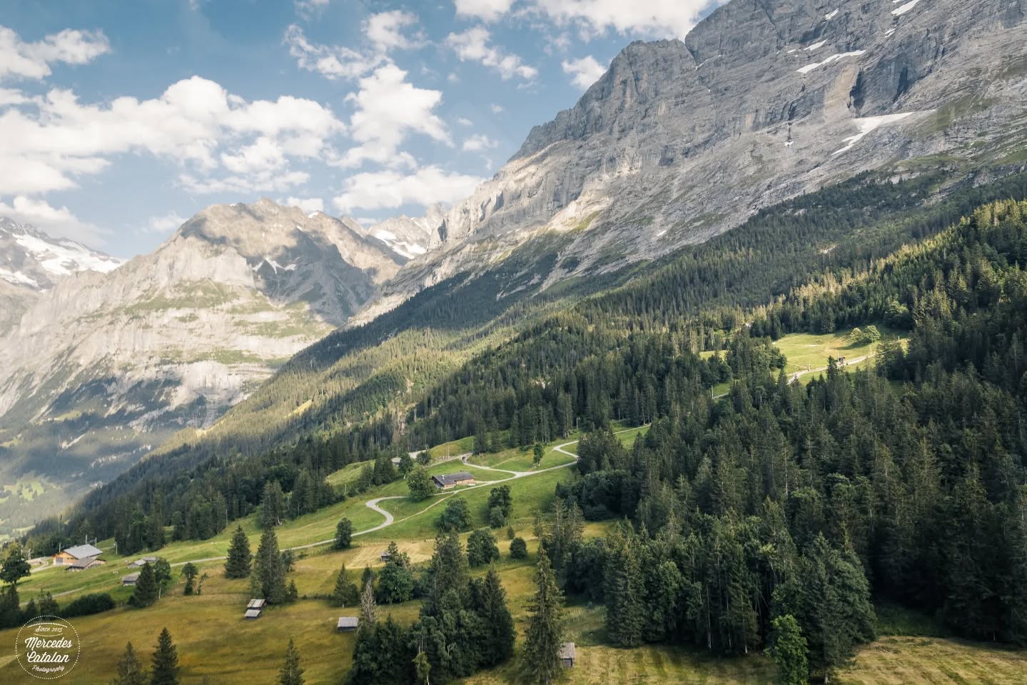 The famous North Face of Mt. Eiger, as we were going back to the valley of Grindelwald on a hot summer day... who else is dreaming with warmer days already?? I do! Happy Sunday!
•
•
•
Canon EOS 5d Mark IV + 24-70mm
•
•
#Jungfraujoch #eiger #berneseoberland #bernesealps #switzerland #exploretocreate #roamtheplanet #moodygrams #exploremore #passionpasport #myswitzerland #lifefolk #feelthealps #beautifuldestinations #anotherescape #sidetrackedmag #rsa_outdoors #lifeofadventure #fotonline_es #rsa_main #thewanderco #swissmountaingirls #swissspots #canonespaña #flyswiss #ifolormoments #inlovewithswitzerland #lifeforthestory #canoninspiration @visualsoflife @roamtheplanet @ourplanetdaily @stayandwander @livefolk @earthpix @earth @helvetic.collective @thewander.co @spotmagazinech @lodestarsanthology